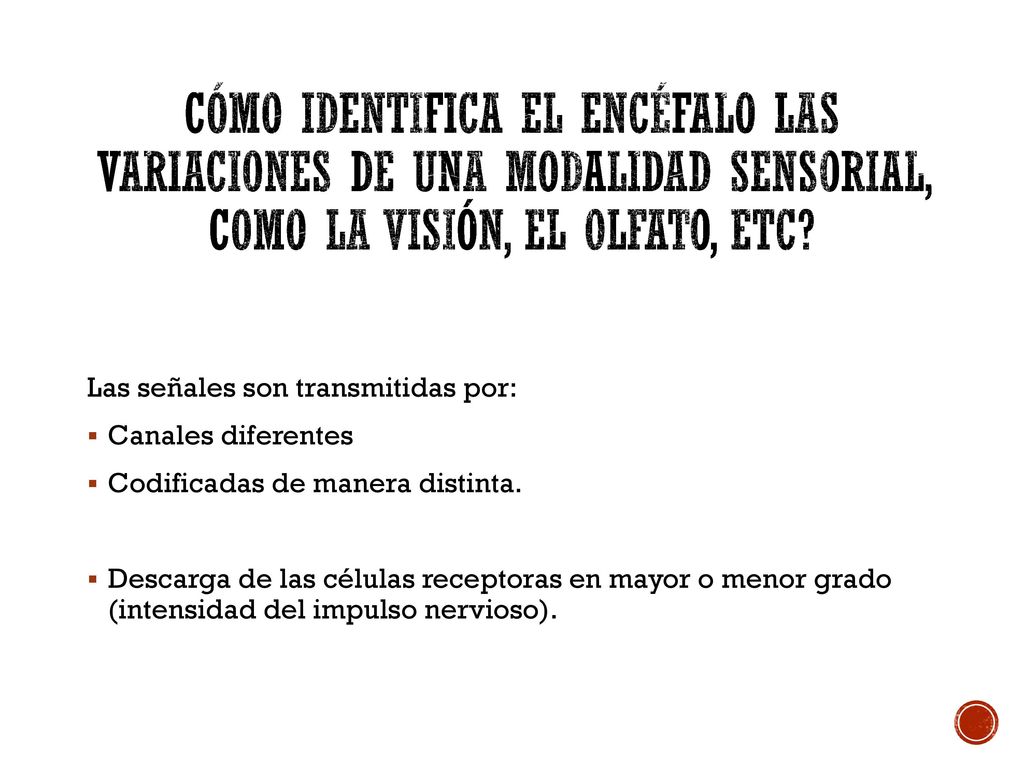 Cómo identifica el encéfalo las variaciones de una modalidad sensorial, como la visión, el olfato, etc
