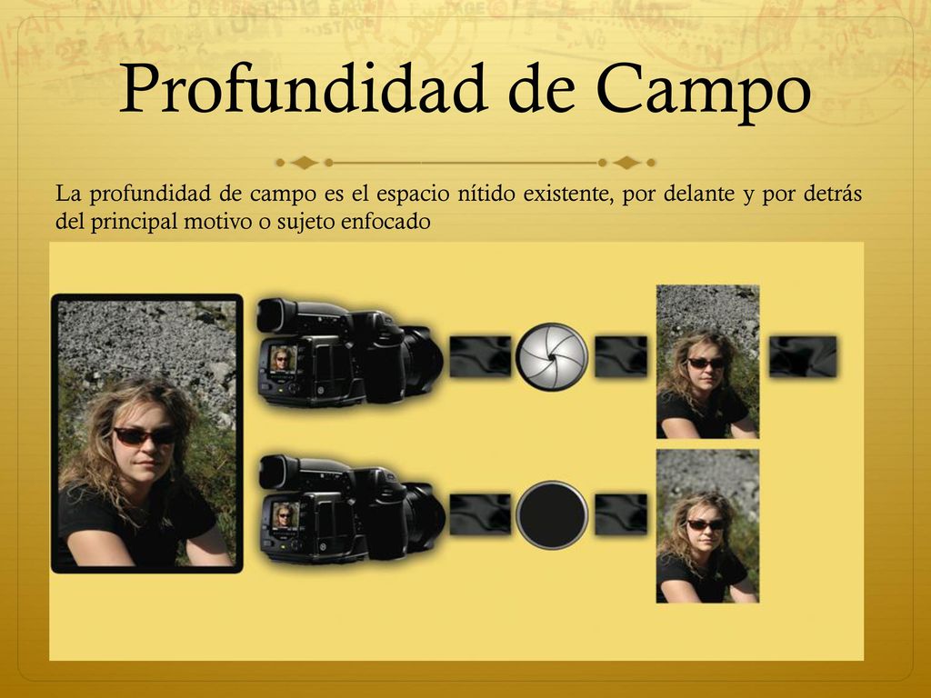 Profundidad de Campo La profundidad de campo es el espacio nítido existente, por delante y por detrás del principal motivo o sujeto enfocado.