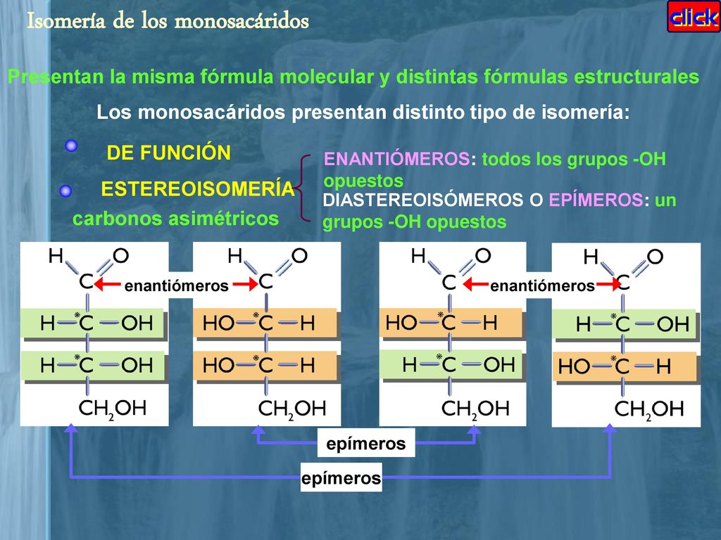 Los monosacáridos presentan distinto tipo de isomería: