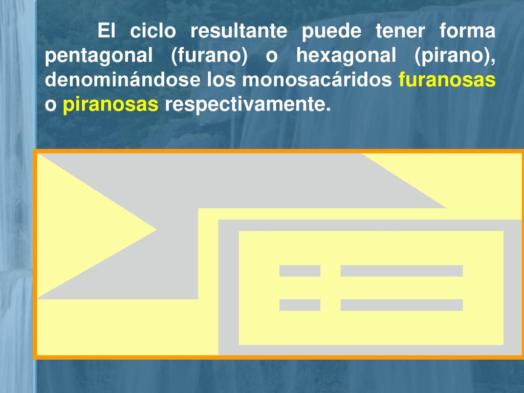 El ciclo resultante puede tener forma pentagonal (furano) o hexagonal (pirano), denominándose los monosacáridos furanosas o piranosas respectivamente.