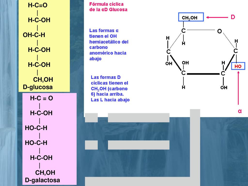H-C=O | H-C-OH OH-C-H CH,OH D-glucosa H-C = O | H-C-OH HO-C-H CH,OH D-galactosa