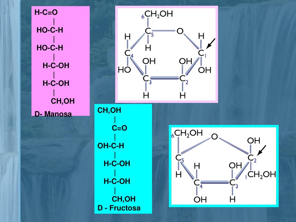 H-C=O | HO-C-H H-C-OH CH,OH D- Manosa CH,OH | C=O OH-C-H H-C-OH D - Fructosa