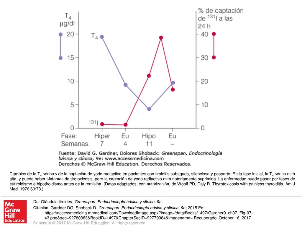 Cambios de la T4 sérica y de la captación de yodo radiactivo en pacientes con tiroiditis subaguda, silenciosa y posparto. En la fase inicial, la T4 sérica está alta, y puede haber síntomas de tirotoxicosis, pero la captación de yodo radiactivo está notoriamente suprimida. La enfermedad puede pasar por fases de eutiroidismo e hipotiroidismo antes de la remisión. (Datos adaptados, con autorización, de Woolf PD, Daly R. Thyrotoxicosis with painless thyroiditis. Am J Med. 1976;60:73.)