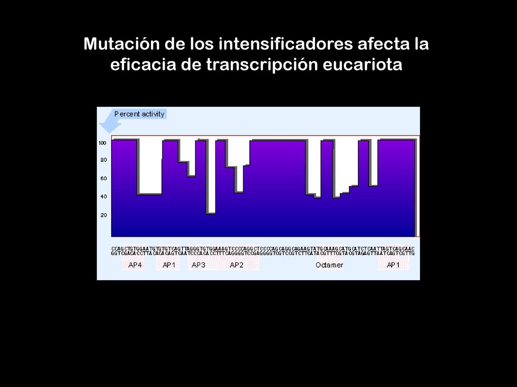 Mutación de los intensificadores afecta la eficacia de transcripción eucariota