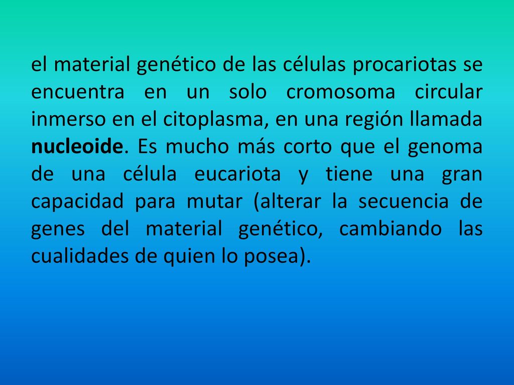 el material genético de las células procariotas se encuentra en un solo cromosoma circular inmerso en el citoplasma, en una región llamada nucleoide.