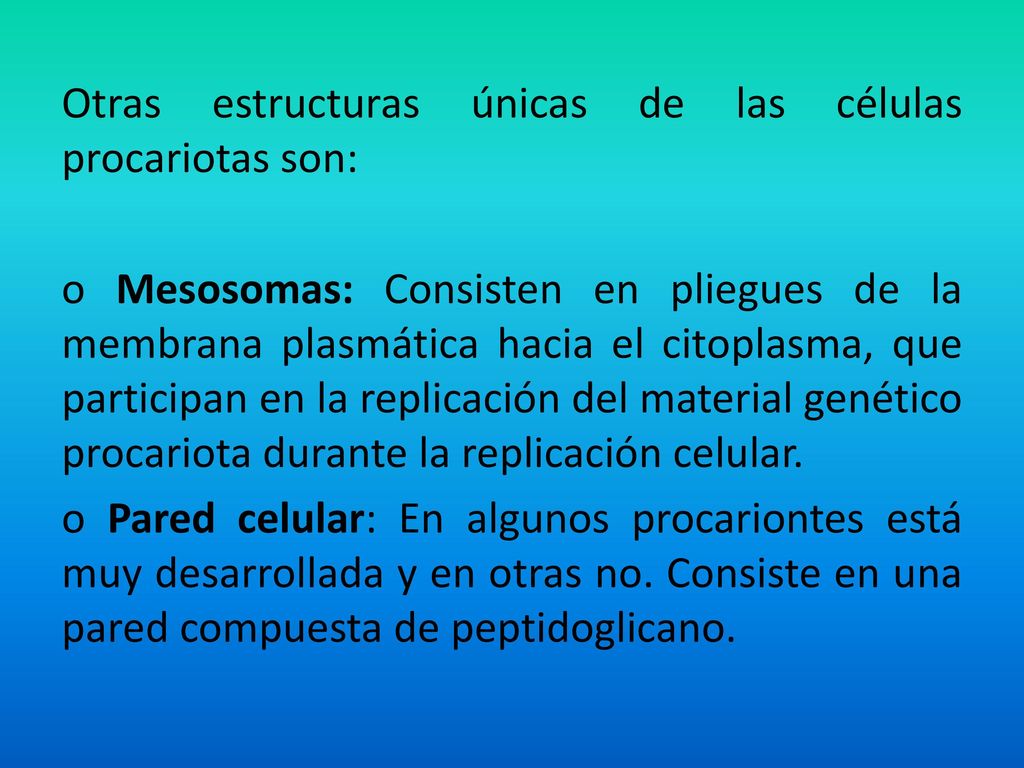 Otras estructuras únicas de las células procariotas son: o Mesosomas: Consisten en pliegues de la membrana plasmática hacia el citoplasma, que participan en la replicación del material genético procariota durante la replicación celular.