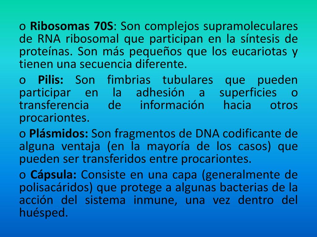 o Ribosomas 70S: Son complejos supramoleculares de RNA ribosomal que participan en la síntesis de proteínas.