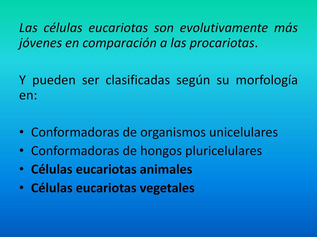 Las células eucariotas son evolutivamente más jóvenes en comparación a las procariotas.