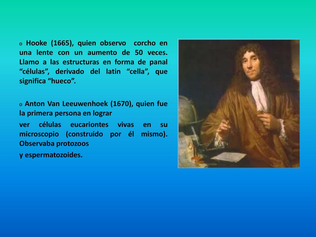 O Hooke (1665), quien observo corcho en una lente con un aumento de 50 veces. Llamo a las estructuras en forma de panal células , derivado del latin cella , que significa hueco .