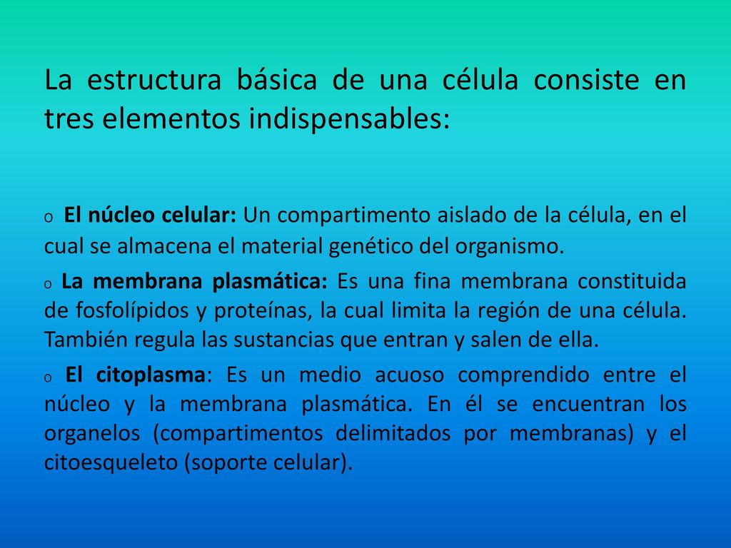 La estructura básica de una célula consiste en tres elementos indispensables: