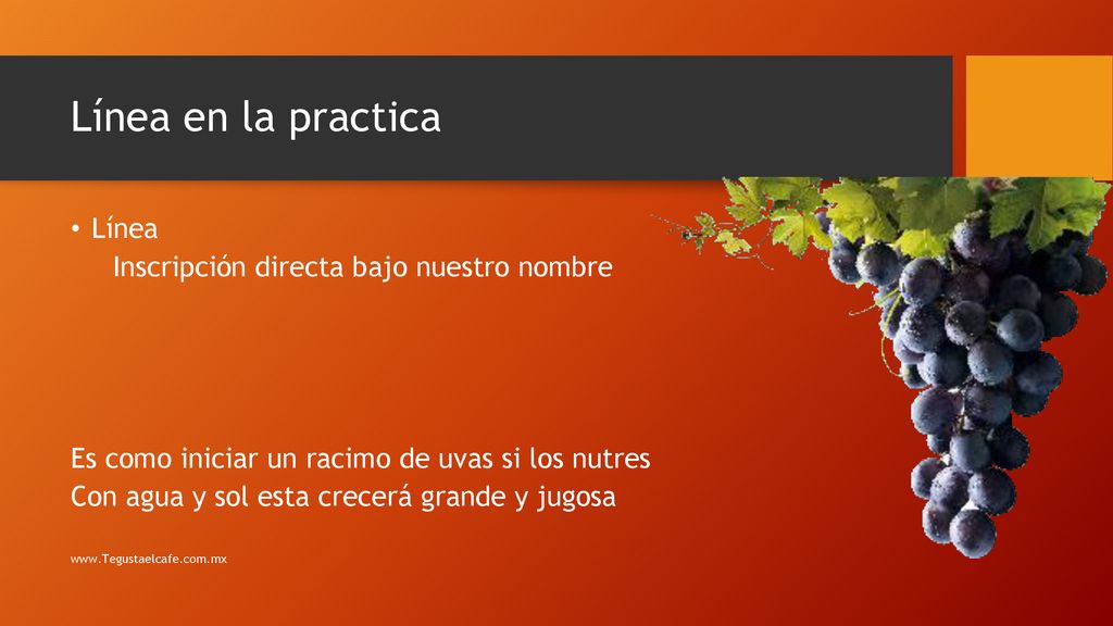 Línea en la practica Línea Inscripción directa bajo nuestro nombre
