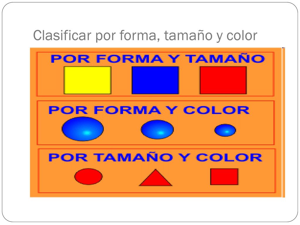 Clasificar por forma, tamaño y color