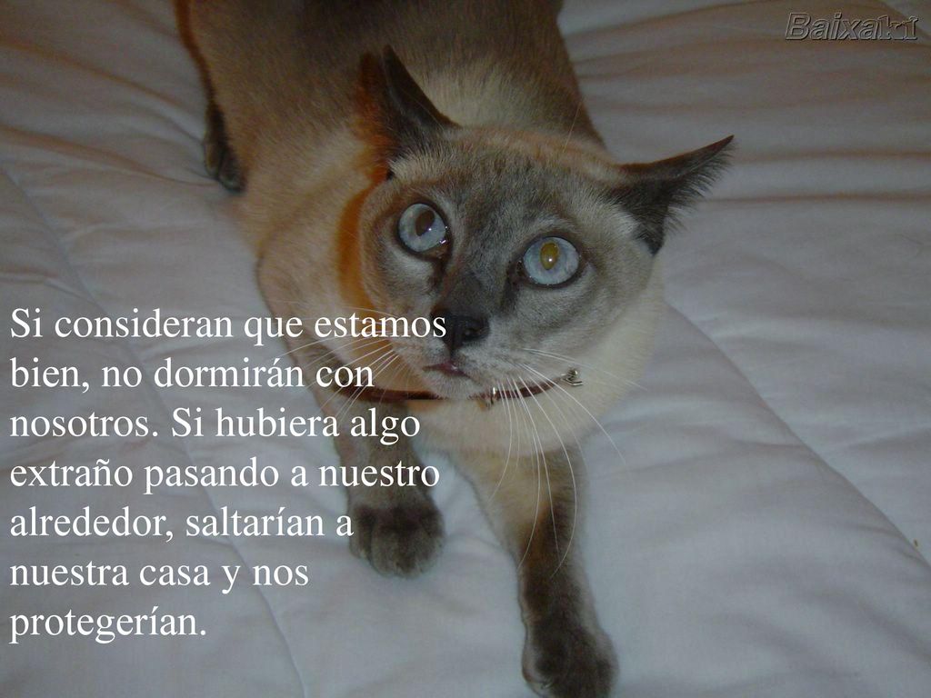 Si consideran que estamos bien, no dormirán con nosotros