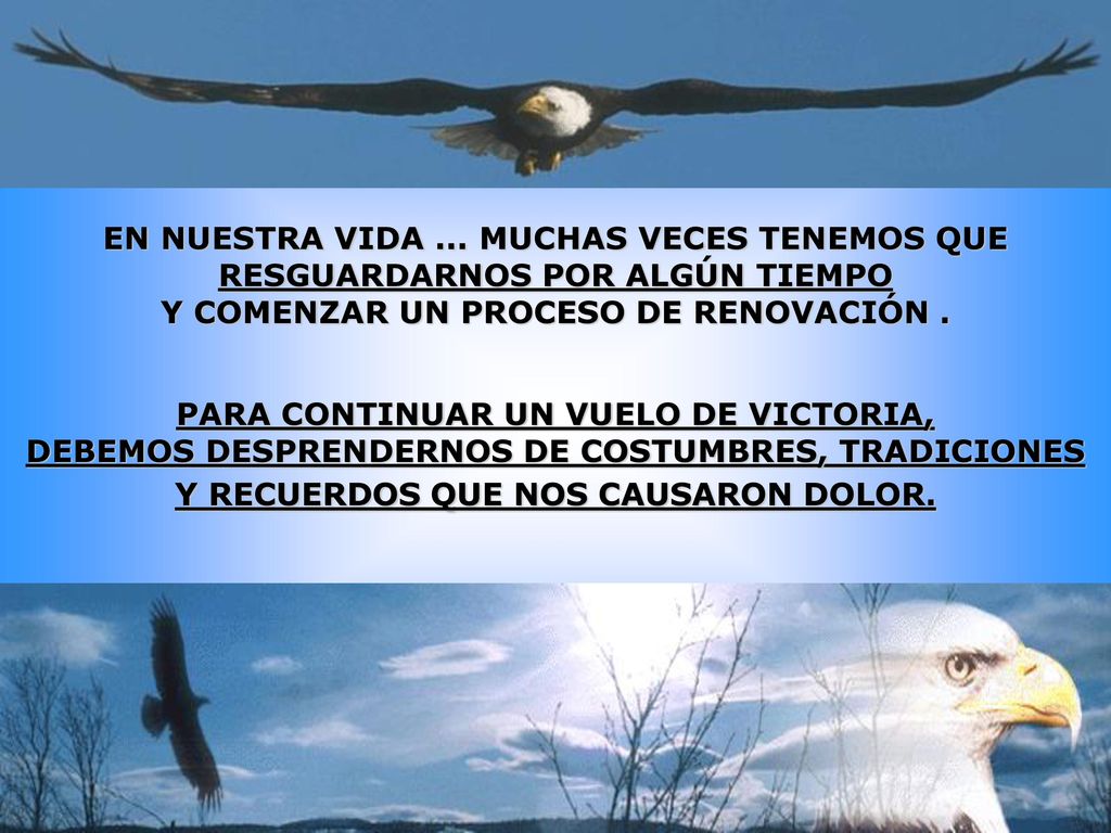 EN NUESTRA VIDA ... MUCHAS VECES TENEMOS QUE RESGUARDARNOS POR ALGÚN TIEMPO Y COMENZAR UN PROCESO DE RENOVACIÓN .