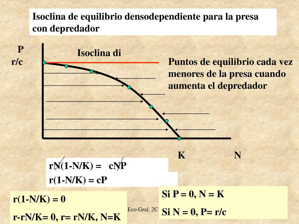 Isoclina de equilibrio densodependiente para la presa con depredador
