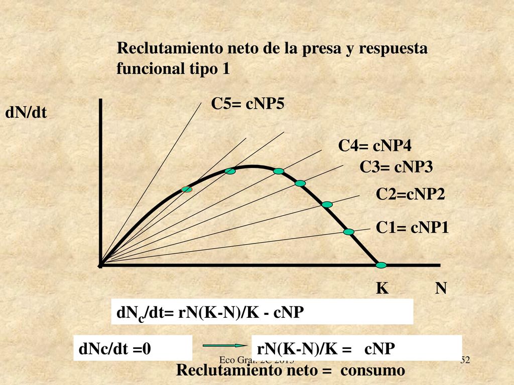Reclutamiento neto de la presa y respuesta funcional tipo 1