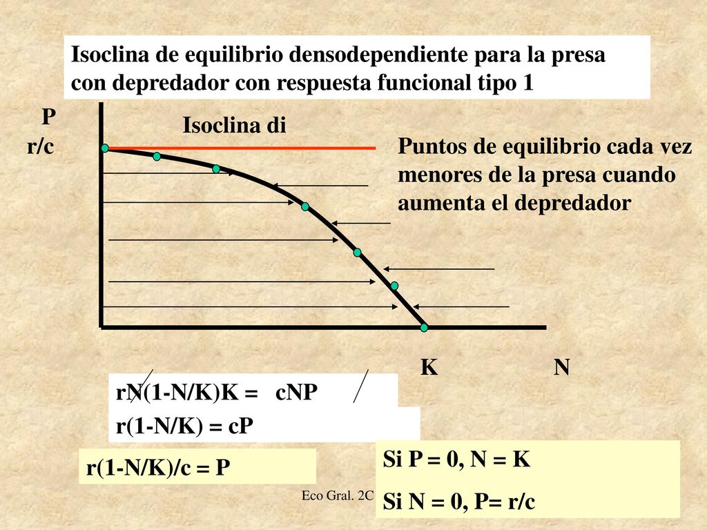 Isoclina de equilibrio densodependiente para la presa con depredador con respuesta funcional tipo 1