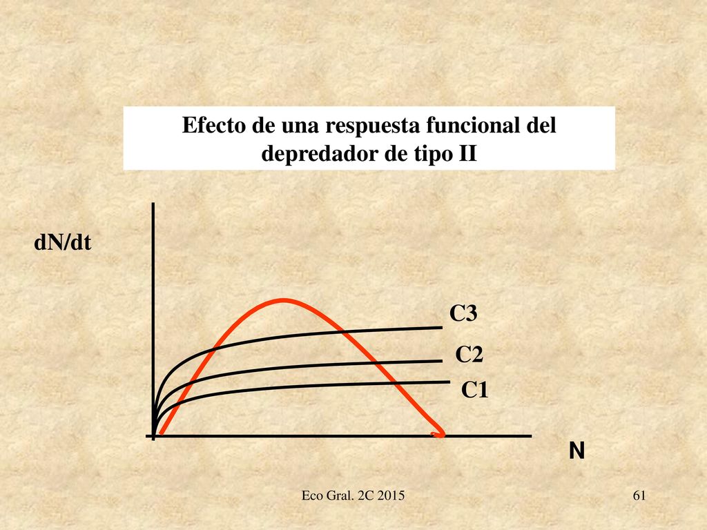 Efecto de una respuesta funcional del depredador de tipo II