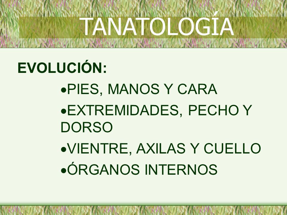 TANATOLOGÍA EVOLUCIÓN: PIES, MANOS Y CARA EXTREMIDADES, PECHO Y DORSO