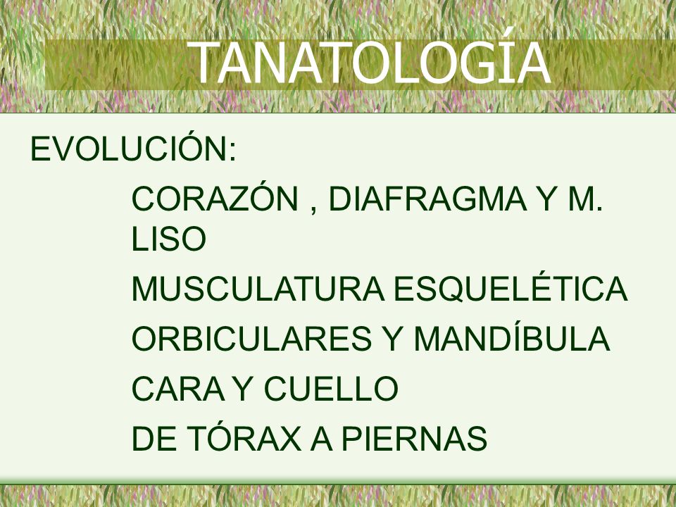 TANATOLOGÍA EVOLUCIÓN: CORAZÓN , DIAFRAGMA Y M. LISO