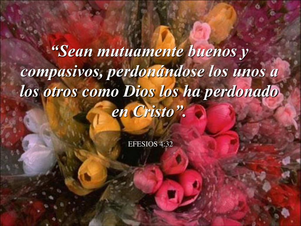 Sean mutuamente buenos y compasivos, perdonándose los unos a los otros como Dios los ha perdonado en Cristo .
