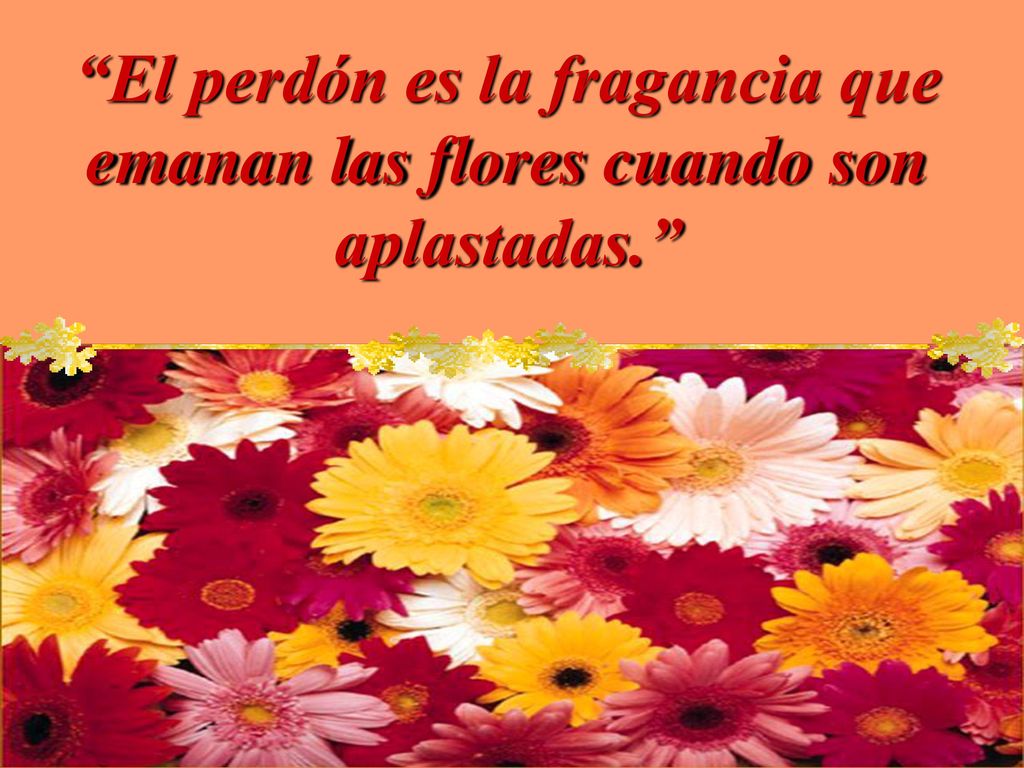 El perdón es la fragancia que emanan las flores cuando son aplastadas