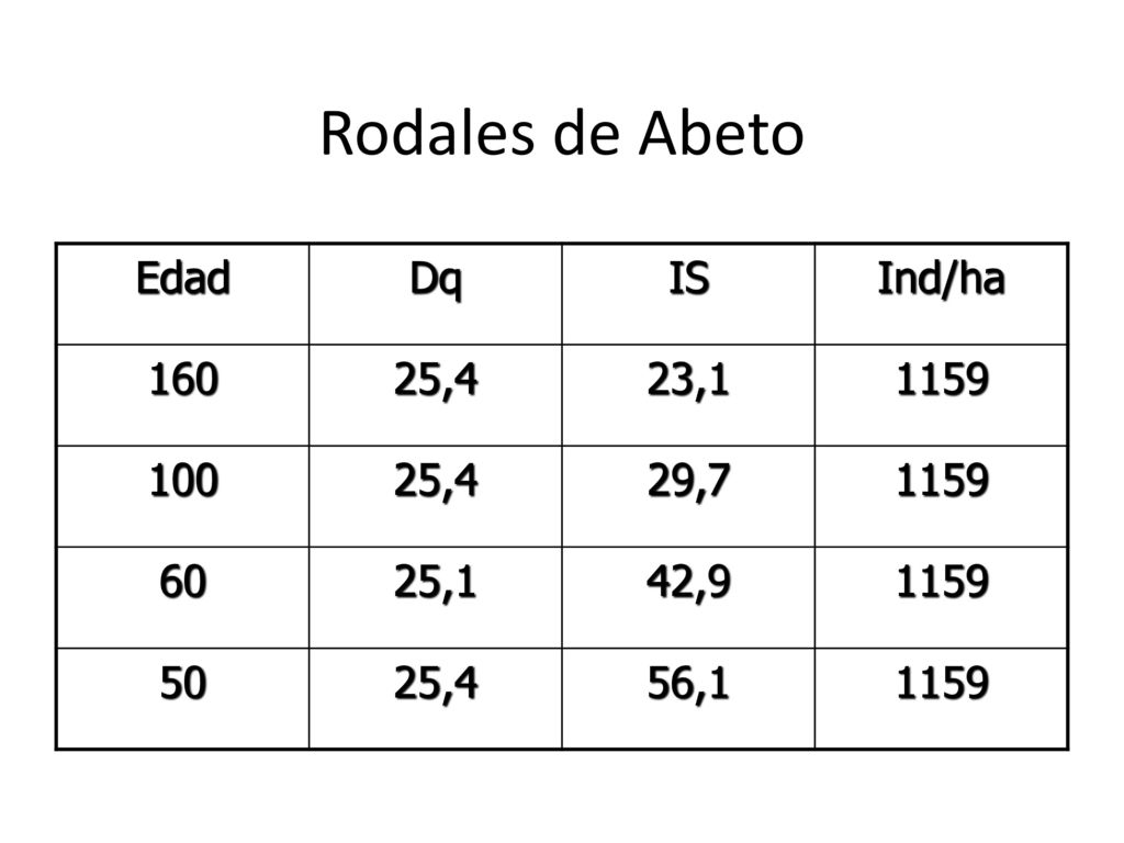 Rodales de Abeto Edad Dq IS Ind/ha ,4 23, , ,1