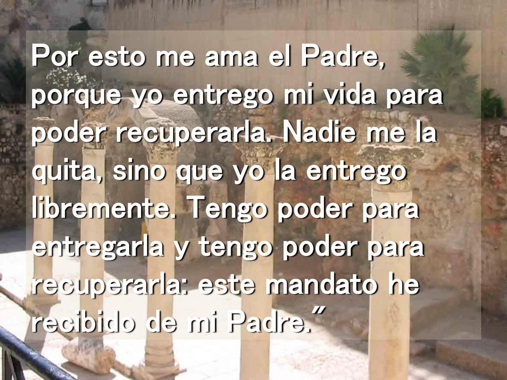 Por esto me ama el Padre, porque yo entrego mi vida para poder recuperarla.