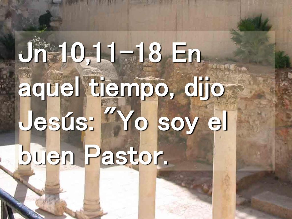Jn 10,11-18 En aquel tiempo, dijo Jesús: Yo soy el buen Pastor.