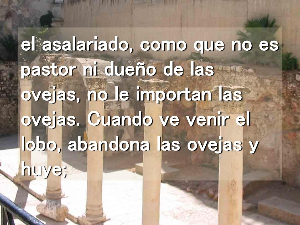 el asalariado, como que no es pastor ni dueño de las ovejas, no le importan las ovejas.