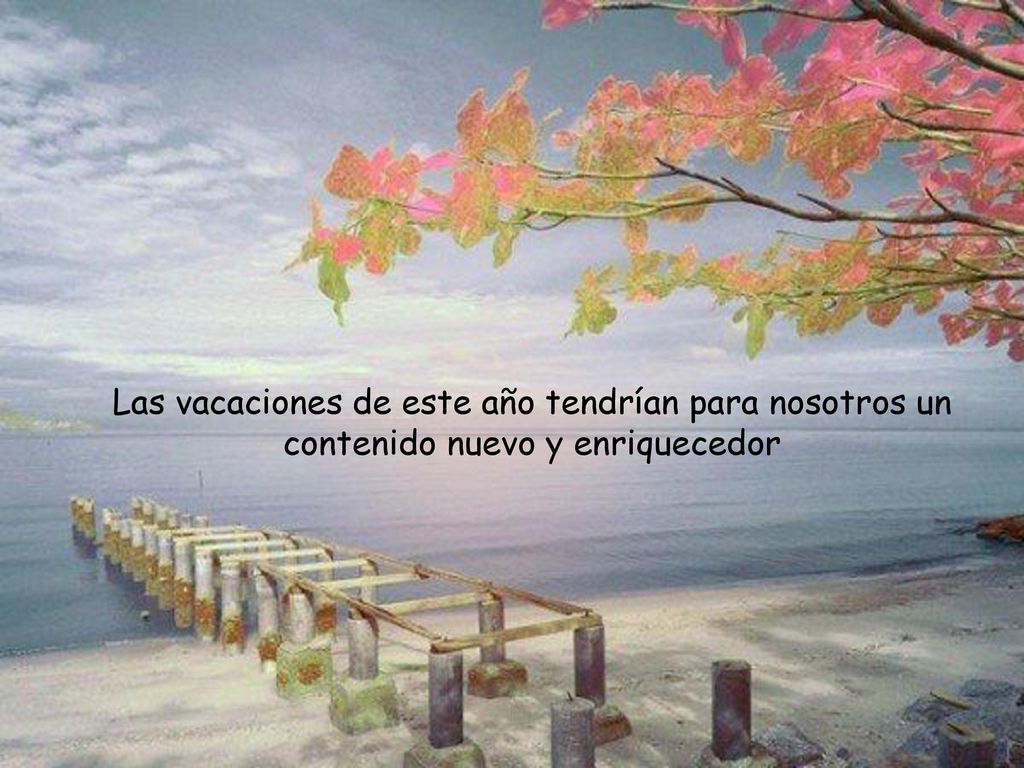 Las vacaciones de este año tendrían para nosotros un contenido nuevo y enriquecedor
