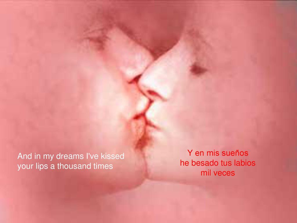 And in my dreams I ve kissed your lips a thousand times