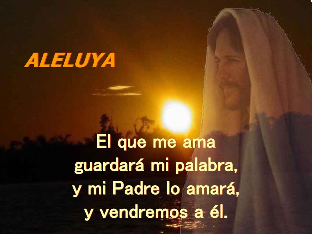 ALELUYA El que me ama guardará mi palabra, y mi Padre lo amará,