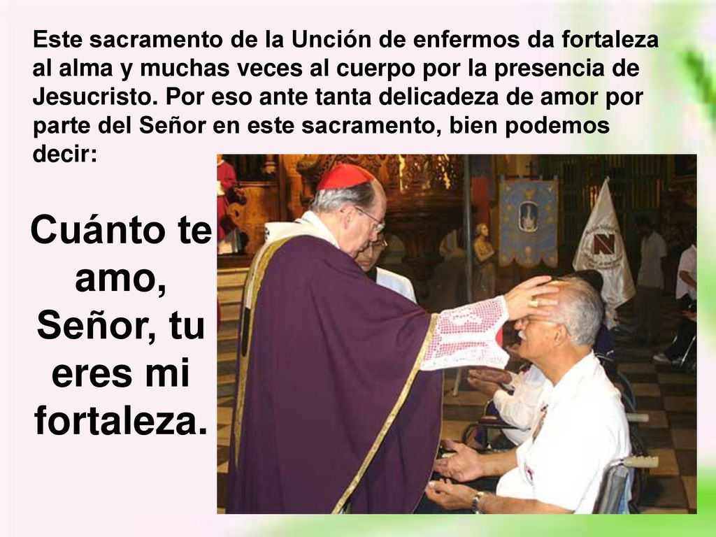 Cuánto te amo, Señor, tu eres mi fortaleza.