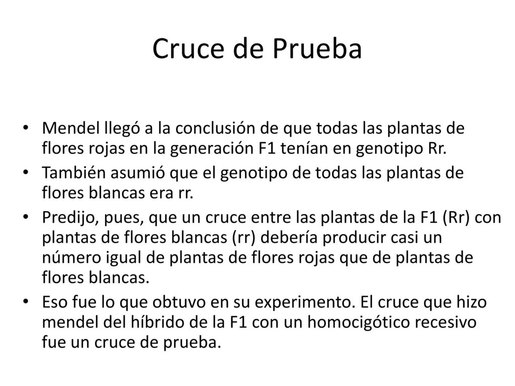 Cruce de Prueba Mendel llegó a la conclusión de que todas las plantas de flores rojas en la generación F1 tenían en genotipo Rr.