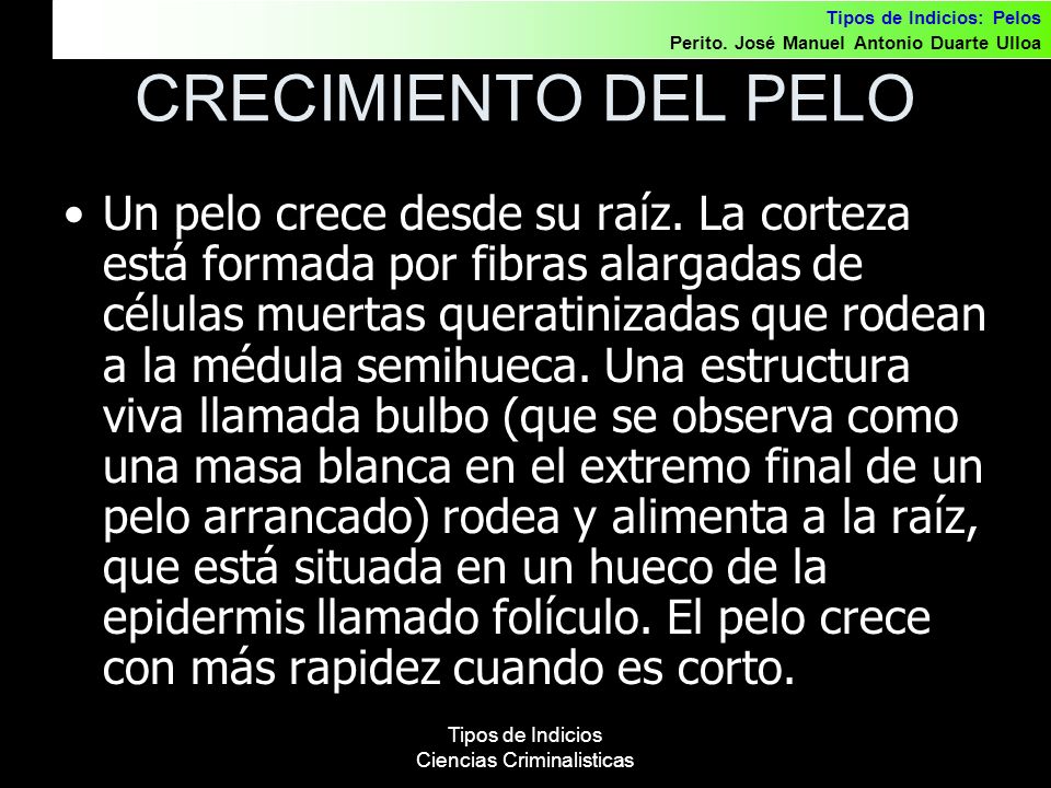 Tipos de Indicios Ciencias Criminalisticas