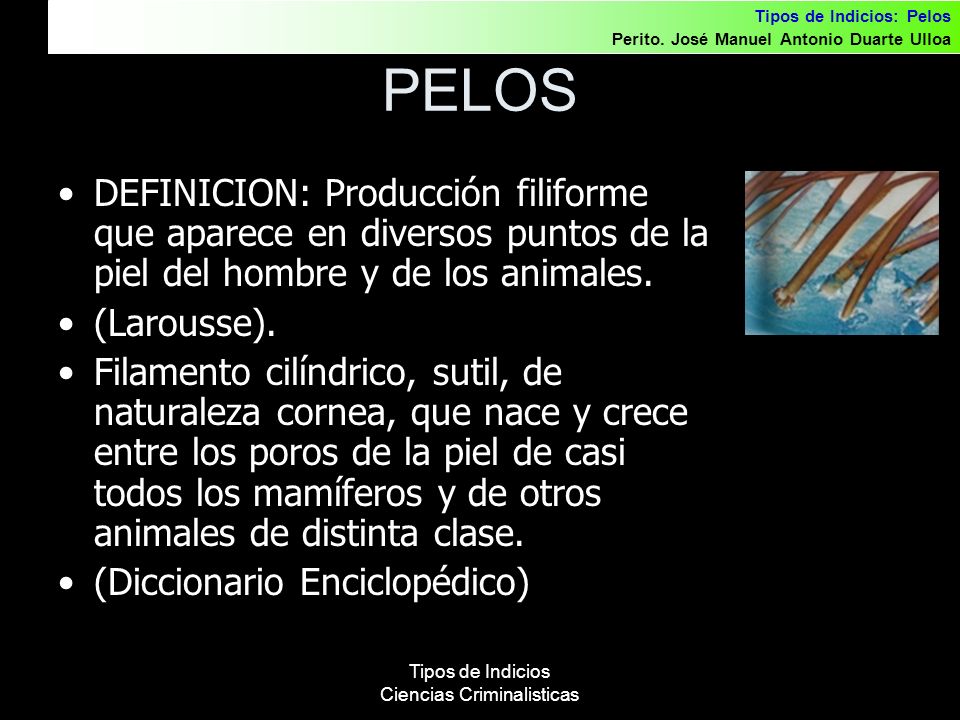 Tipos de Indicios Ciencias Criminalisticas