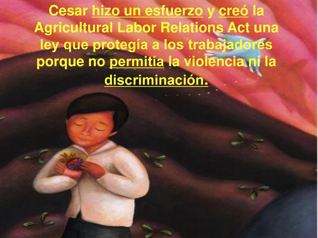 Cesar hizo un esfuerzo y creó la Agricultural Labor Relations Act una ley que protegía a los trabajadores porque no permitía la violencia ni la discriminación.