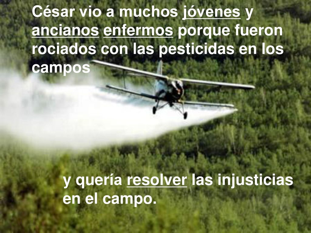 César vio a muchos jóvenes y ancianos enfermos porque fueron rociados con las pesticidas en los campos