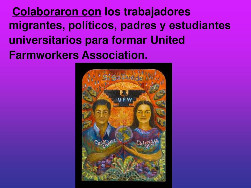 Colaboraron con los trabajadores migrantes, políticos, padres y estudiantes universitarios para formar United Farmworkers Association.