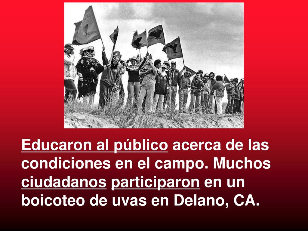 Educaron al público acerca de las condiciones en el campo