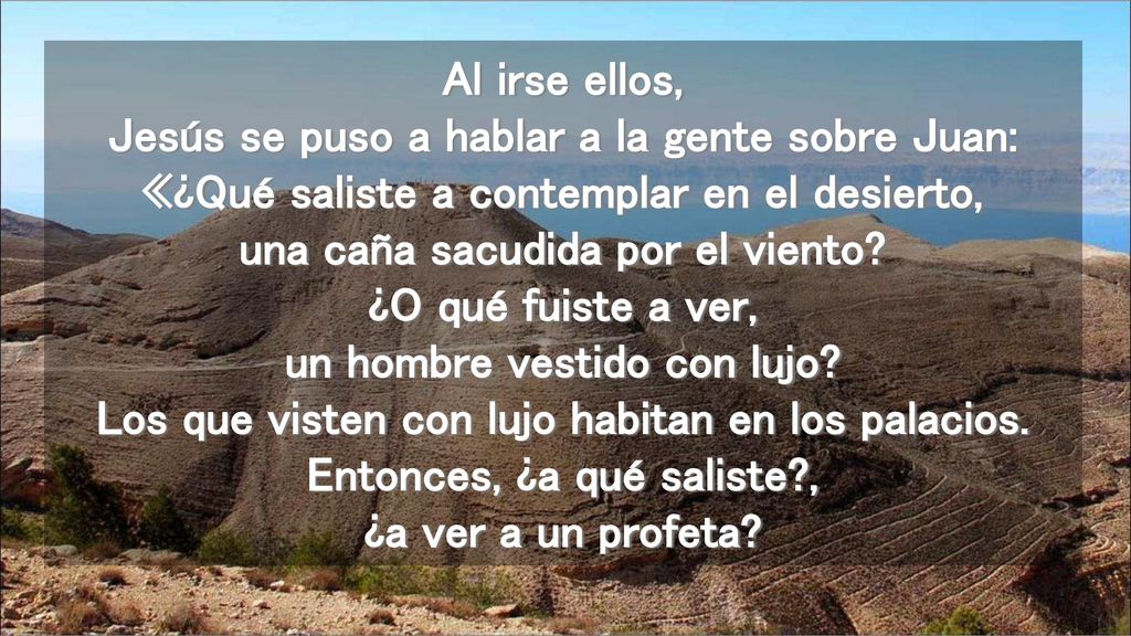Al irse ellos, Jesús se puso a hablar a la gente sobre Juan: «¿Qué saliste a contemplar en el desierto, una caña sacudida por el viento.