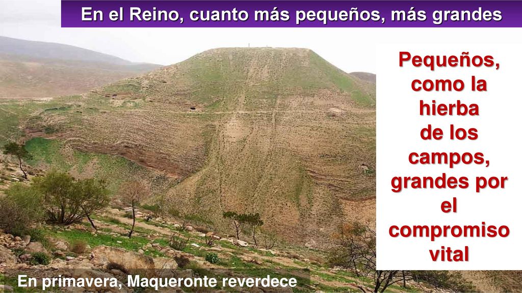 Pequeños, como la hierba de los campos, grandes por el