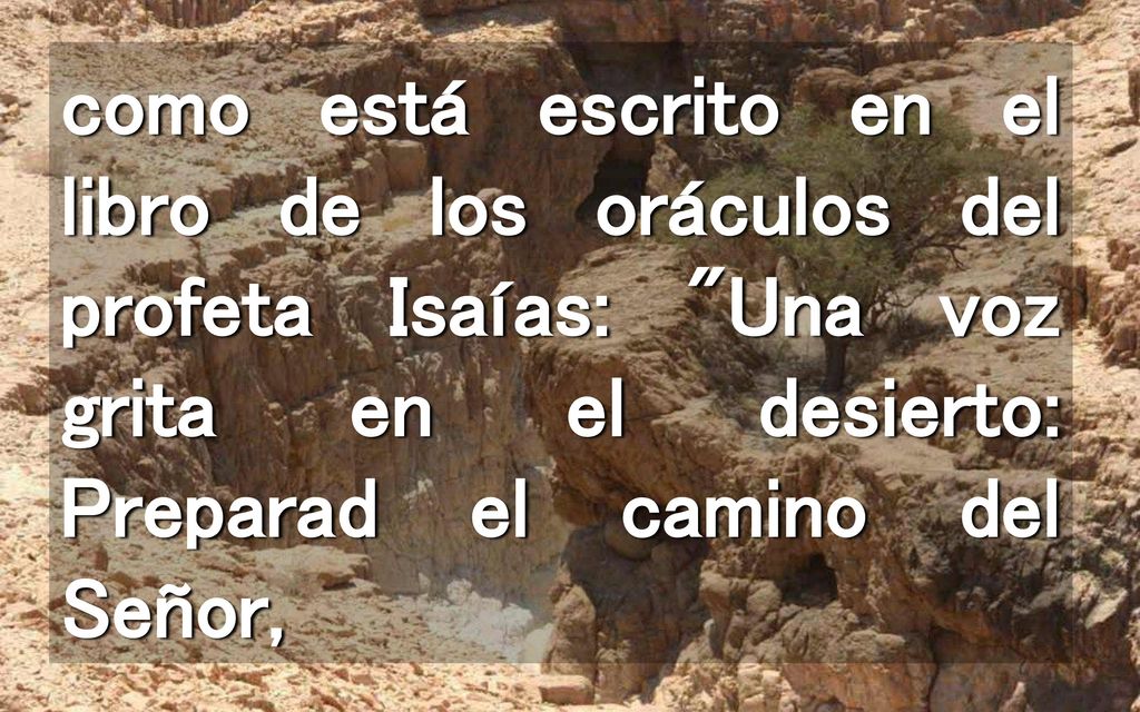 como está escrito en el libro de los oráculos del profeta Isaías: Una voz grita en el desierto: Preparad el camino del Señor,