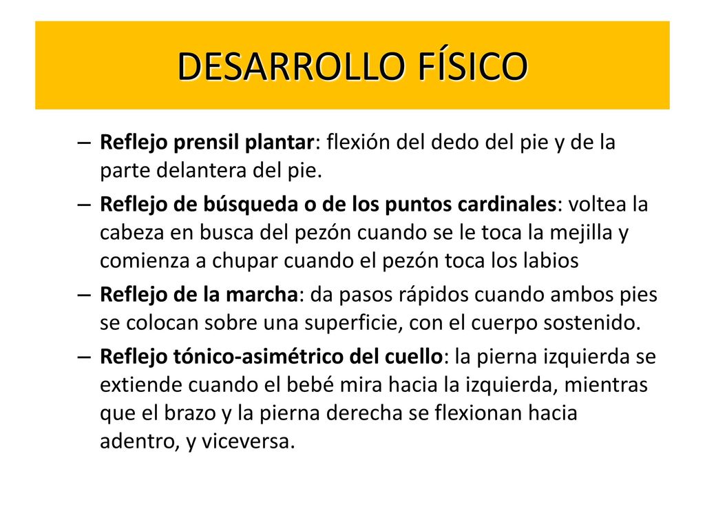 DESARROLLO FÍSICO Reflejo prensil plantar: flexión del dedo del pie y de la parte delantera del pie.