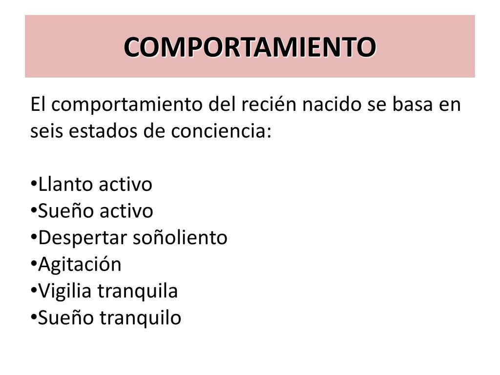 COMPORTAMIENTO El comportamiento del recién nacido se basa en seis estados de conciencia: Llanto activo.