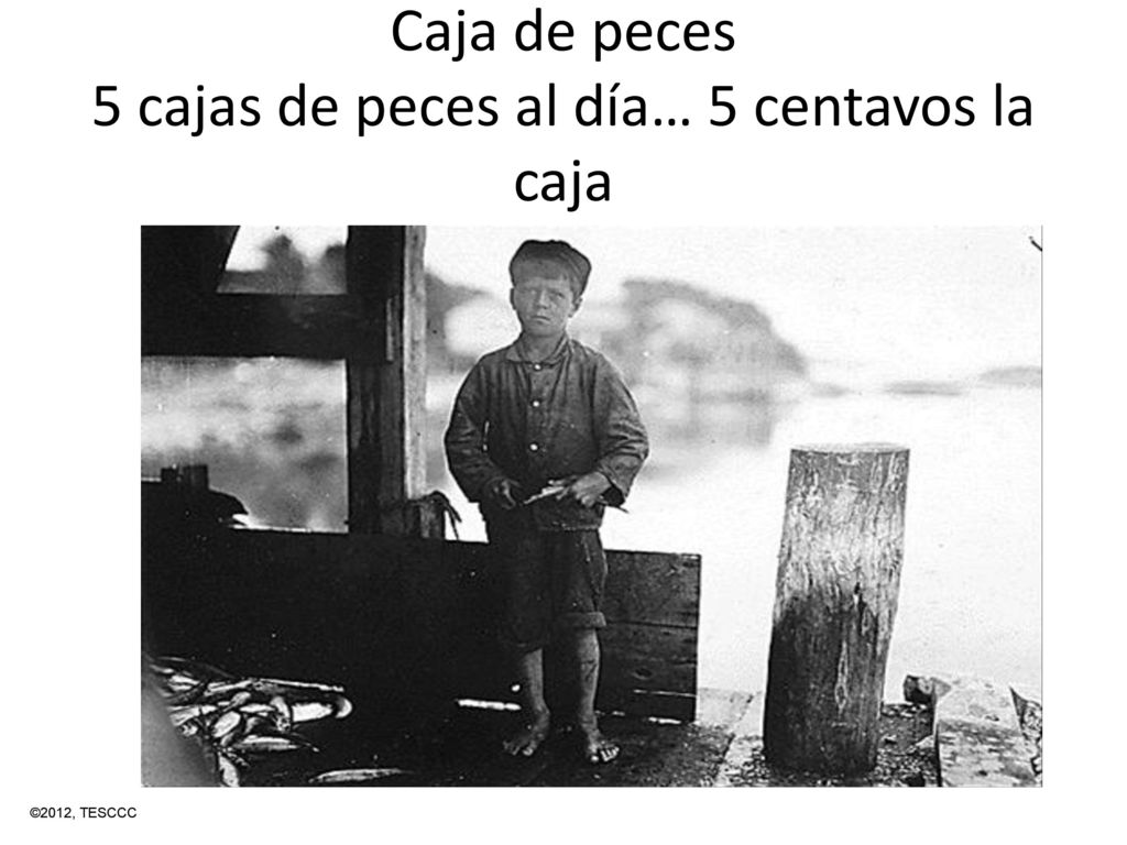 Caja de peces 5 cajas de peces al día… 5 centavos la caja