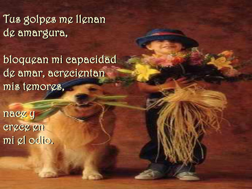 Tus golpes me llenan de amargura, bloquean mi capacidad. de amar, acrecientan. mis temores, nace y.