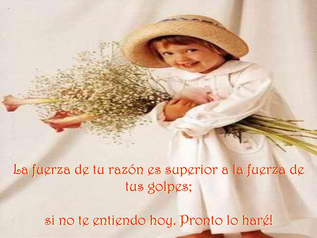 La fuerza de tu razón es superior a la fuerza de tus golpes;