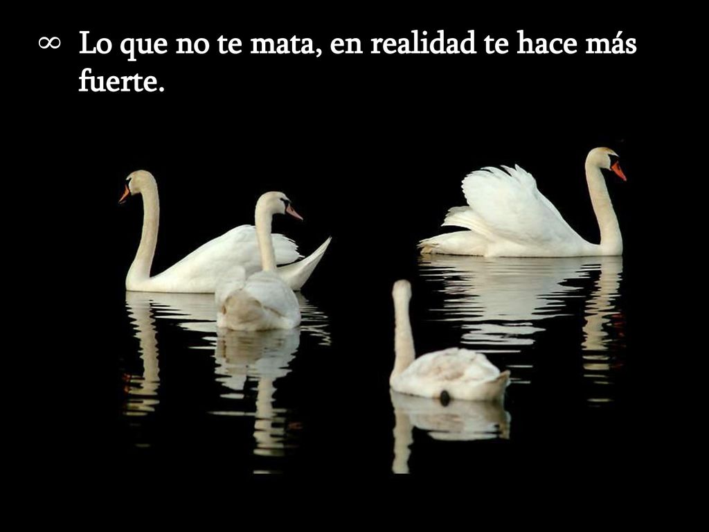 Lo que no te mata, en realidad te hace más fuerte.